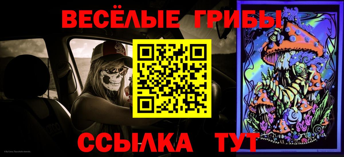 Галлюциногенные грибы ЛСД Кулебаки